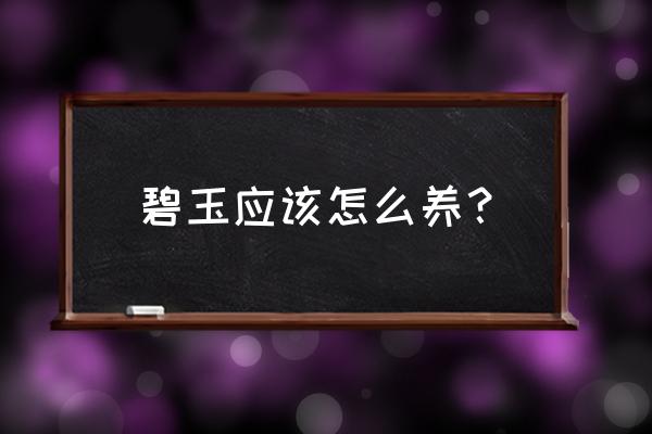 碧玉花卉碧玉怎么养 碧玉应该怎么养？