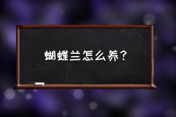 怎么养蝴蝶兰最快 蝴蝶兰怎么养？