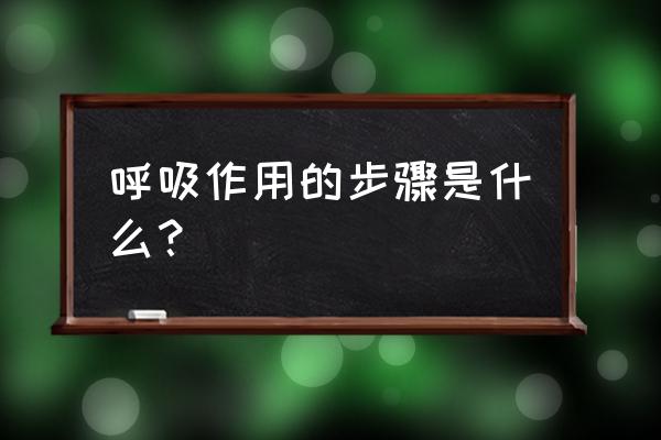 呼吸作用的全部过程 呼吸作用的步骤是什么？