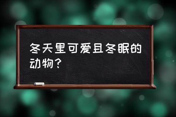 什么动物会冬眠 冬天里可爱且冬眠的动物？