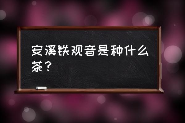 福建安溪铁观音属于什么茶 安溪铁观音是种什么茶？