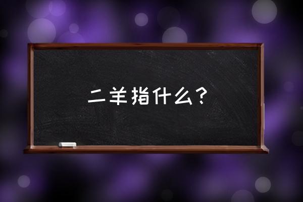 爱礼存羊打一生肖 二羊指什么？