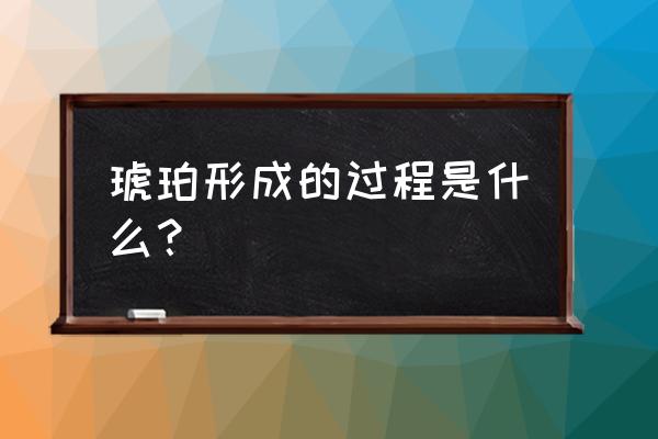 琥珀形成过程简写 琥珀形成的过程是什么？