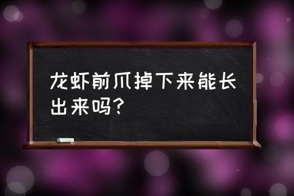 克氏原螯虾雌雄 龙虾前爪掉下来能长出来吗？