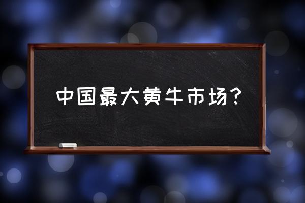 吉林养牛基地 中国最大黄牛市场？