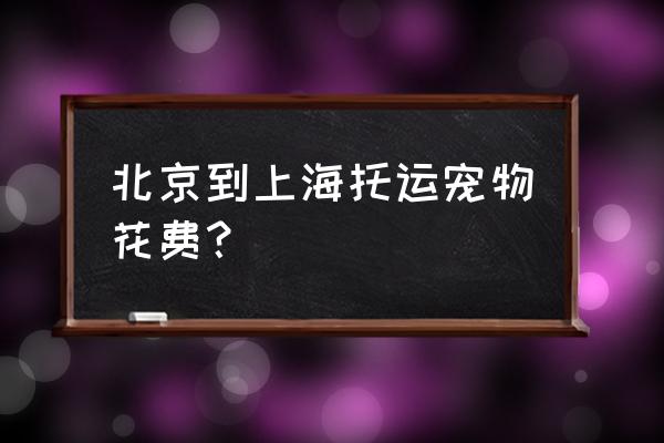 便宜的北京宠物国内托运 北京到上海托运宠物花费？