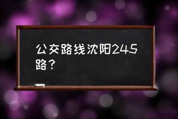 沈阳公交车查询路线查询 公交路线沈阳245路？