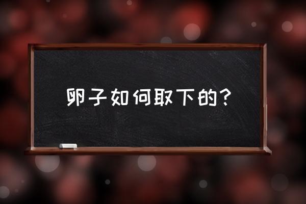 人工取卵取卵过程 卵子如何取下的？