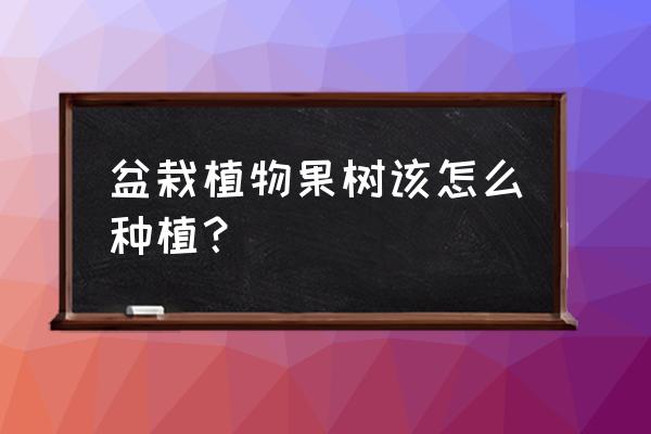 果树盆景怎么培育 盆栽植物果树该怎么种植？