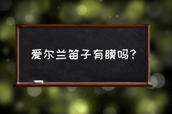 爱尔兰风笛简介 爱尔兰笛子有膜吗？