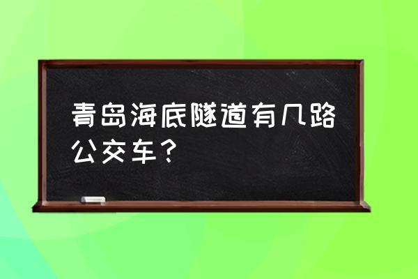 青岛隧道公交路线 青岛海底隧道有几路公交车？