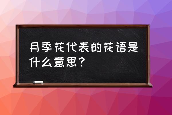 月季花语象征与寓意 月季花代表的花语是什么意思？