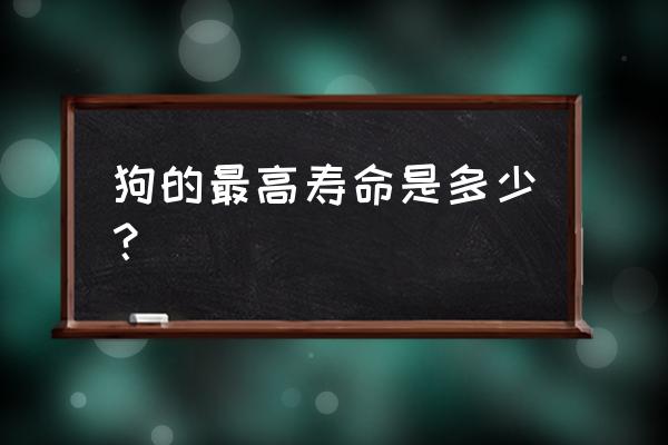 狗的最长寿命 狗的最高寿命是多少？