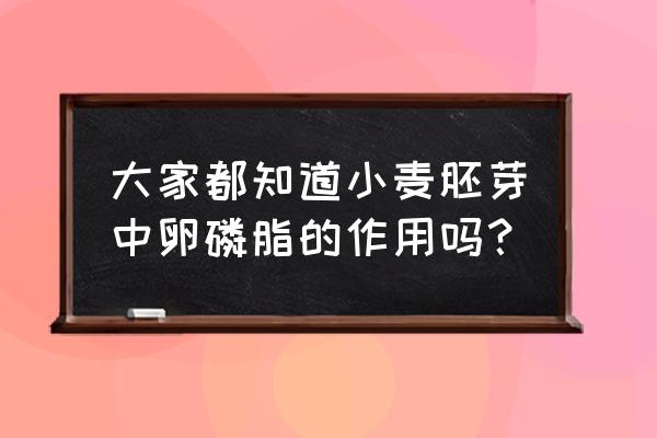 小麦胚芽功效 大家都知道小麦胚芽中卵磷脂的作用吗？