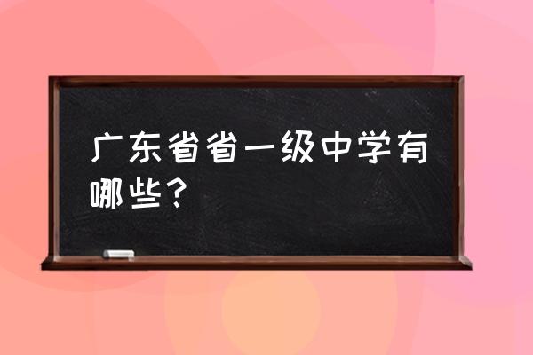 洛溪新城中学全景 广东省省一级中学有哪些？