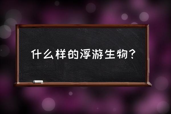 浮游生物有哪一些 什么样的浮游生物？