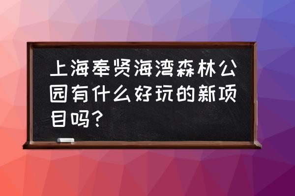 奉贤森林公园好玩吗 上海奉贤海湾森林公园有什么好玩的新项目吗？