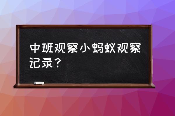 观察蚂蚁的发现 中班观察小蚂蚁观察记录？