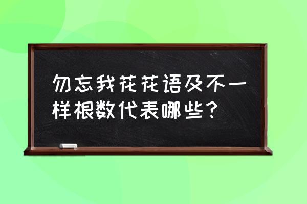 勿忘我花语象征与寓意 勿忘我花花语及不一样根数代表哪些？