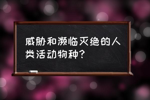 塔斯马尼亚虎还有吗 威胁和濒临灭绝的人类活动物种？