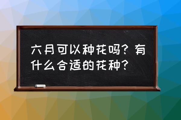 六月能种什么花 六月可以种花吗？有什么合适的花种？