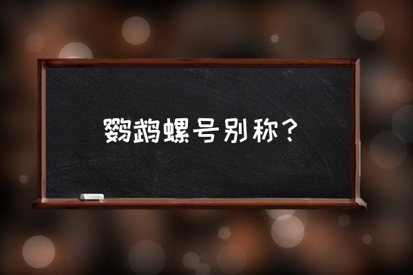 鹦鹉螺号又叫什么 鹦鹉螺号别称？