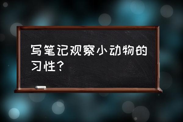 请写一篇观察动物的日记 写笔记观察小动物的习性？