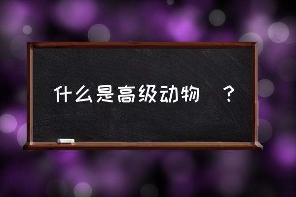 高级动物百科 什么是高级动物_？