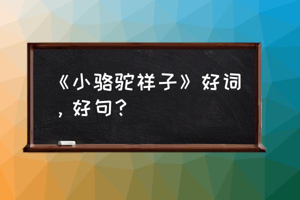 《骆驼祥子》中的好词好句 《小骆驼祥子》好词，好句？