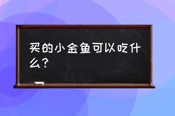 小金鱼吃什么 家里的食物 买的小金鱼可以吃什么？