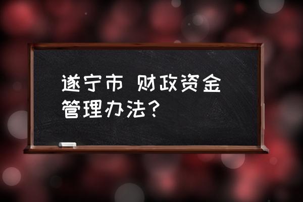 全口径预算包括 遂宁市 财政资金 管理办法？