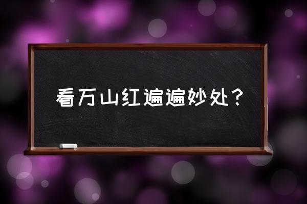 看万山红遍看的作用 看万山红遍遍妙处？