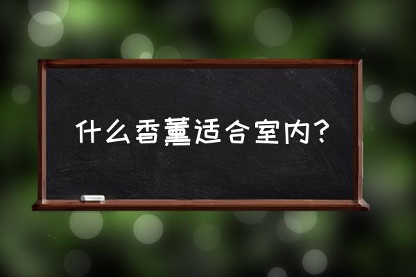 安神助眠的香薰 什么香薰适合室内？