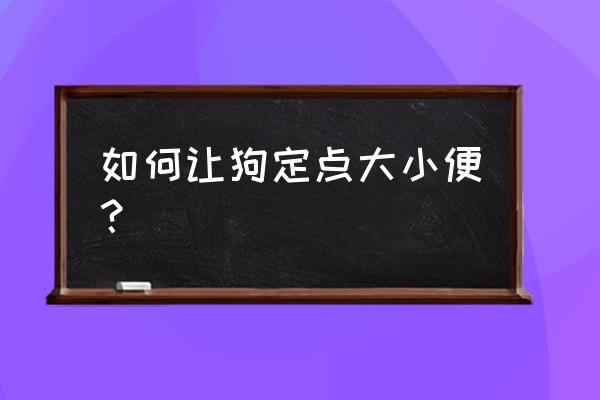 小狗怎么训练他大小便 如何让狗定点大小便？