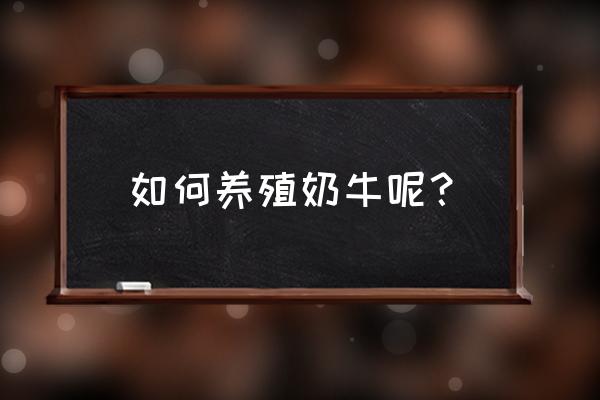 简述奶牛养殖 如何养殖奶牛呢？