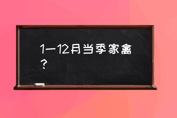 白羽肉鸡百科 1一12月当季家禽？