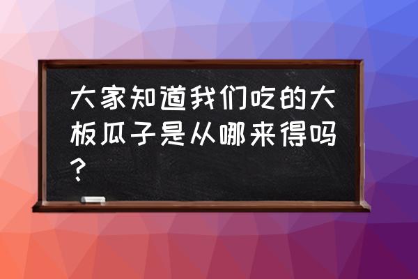 大板瓜子是什么瓜的子 大家知道我们吃的大板瓜子是从哪来得吗？