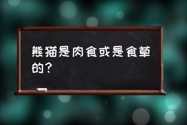 熊猫吃肉吗 熊猫是肉食或是食草的？