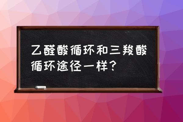 乙醛酸循环过程 乙醛酸循环和三羧酸循环途径一样？