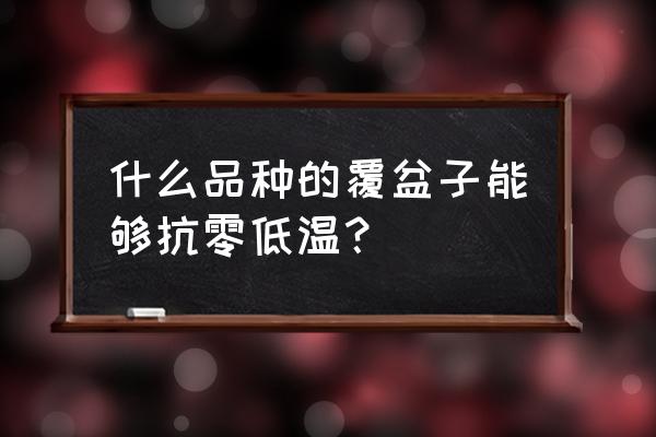 覆盆子有哪些品种 什么品种的覆盆子能够抗零低温？