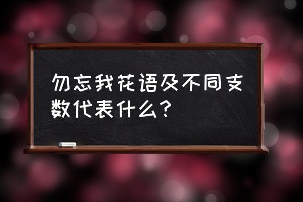 勿忘我花的寓意是什么 勿忘我花语及不同支数代表什么？