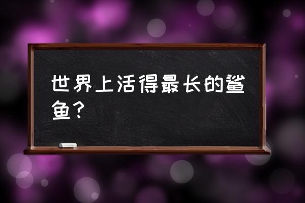 格陵兰鲨鱼寿命 世界上活得最长的鲨鱼？