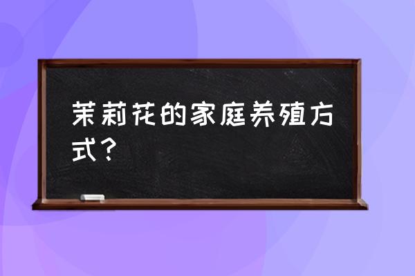 茉莉花的家庭养殖方法 茉莉花的家庭养殖方式？