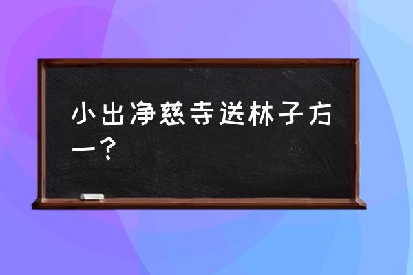 晓出净慈寺送林子方一 小出净慈寺送林子方一？