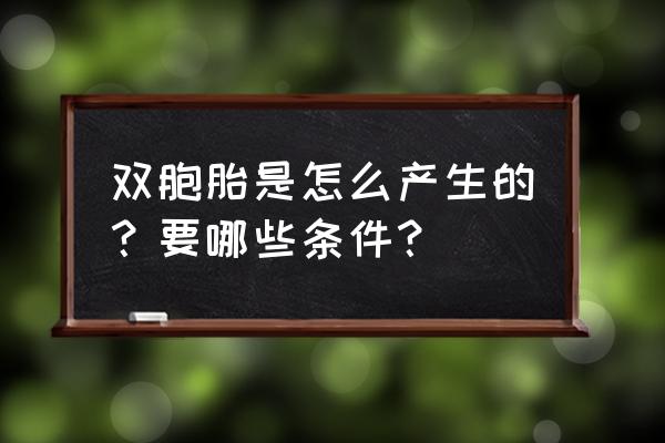 生双胞胎要有什么条件 双胞胎是怎么产生的？要哪些条件？