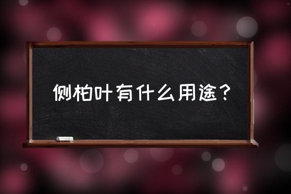 侧柏叶的正确用途 侧柏叶有什么用途？