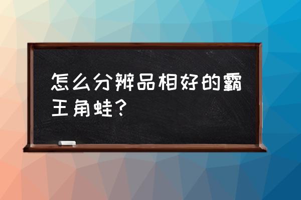 霸王角蛙什么颜色好看 怎么分辨品相好的霸王角蛙？