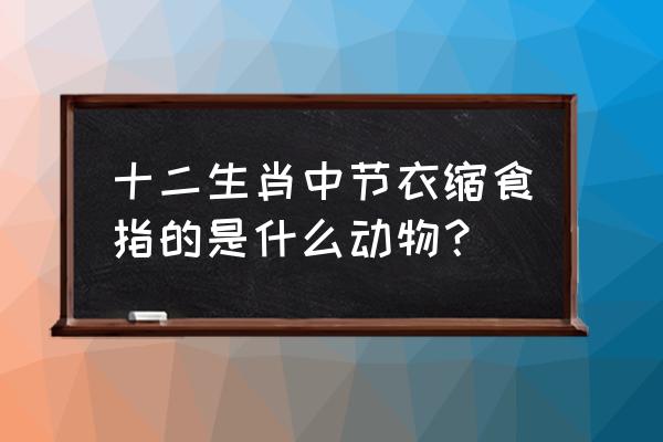 节衣缩食指什么动物 十二生肖中节衣缩食指的是什么动物？