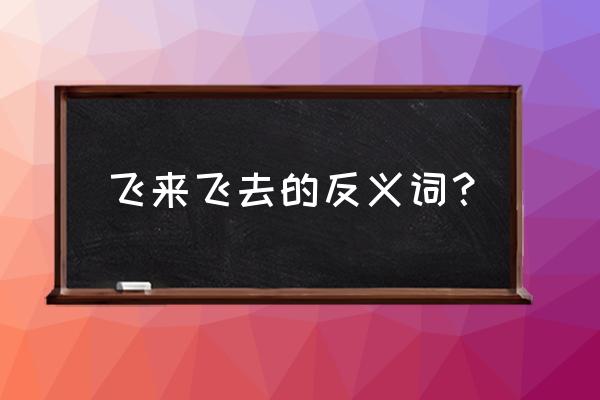 翱翔是啥意思 飞来飞去的反义词？