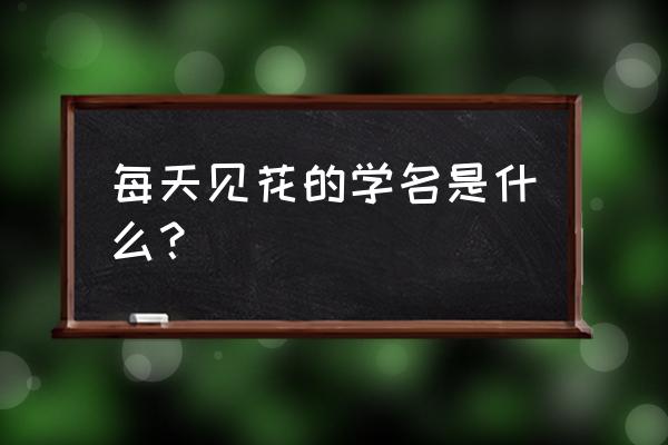 长春花别名 每天见花的学名是什么？